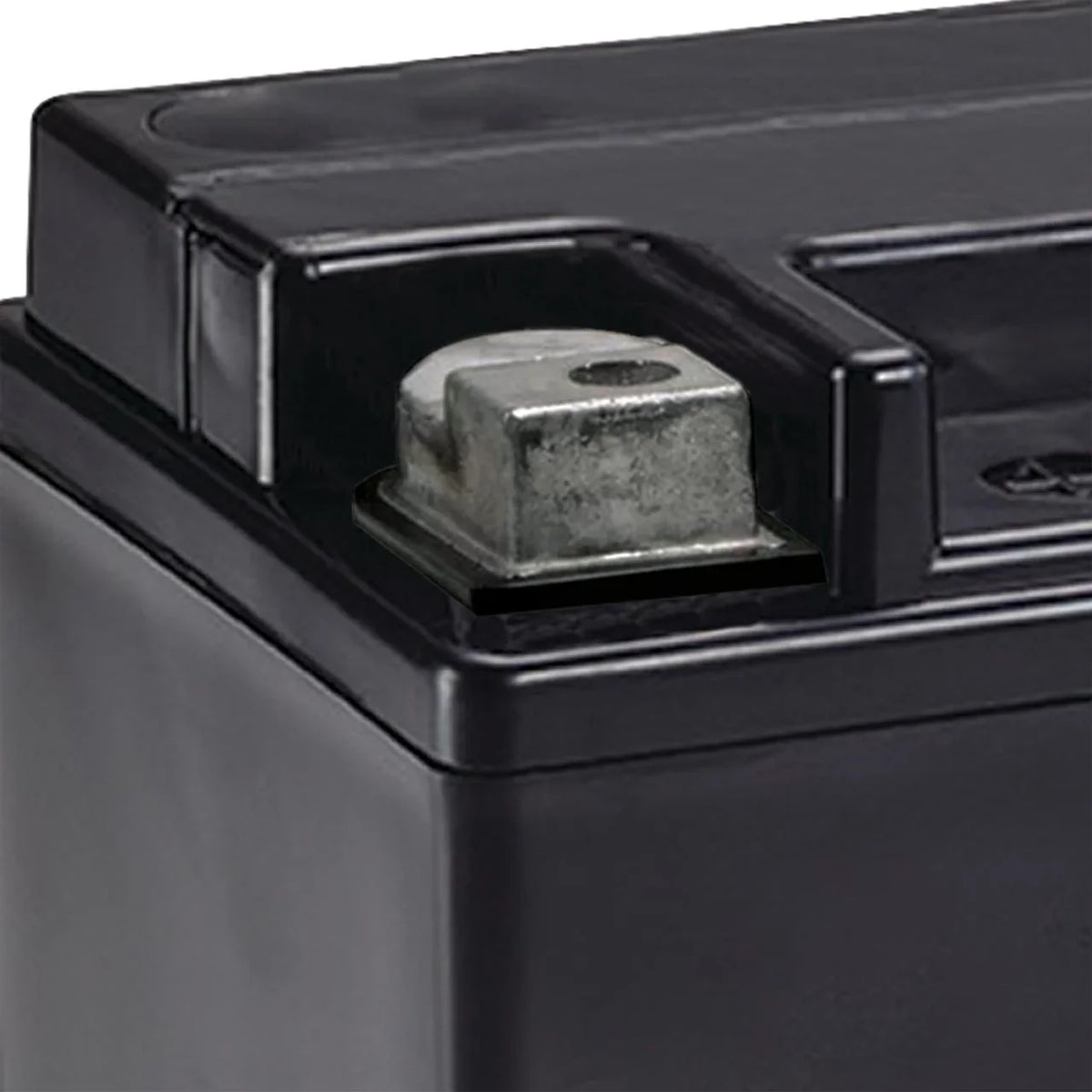 EverStart Platinum BOXED AGM Battery, Group Size AUX 12 Volt, 180 CCA - image 3