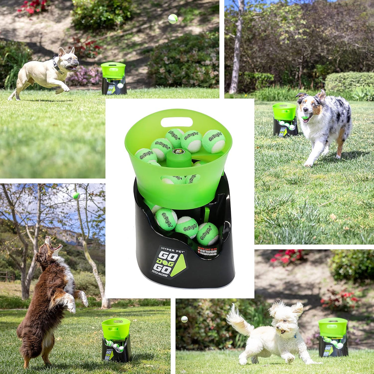 Hyper Pet GoDogGo Automatic Dog Ball Launcher with 5 Balls - image 7