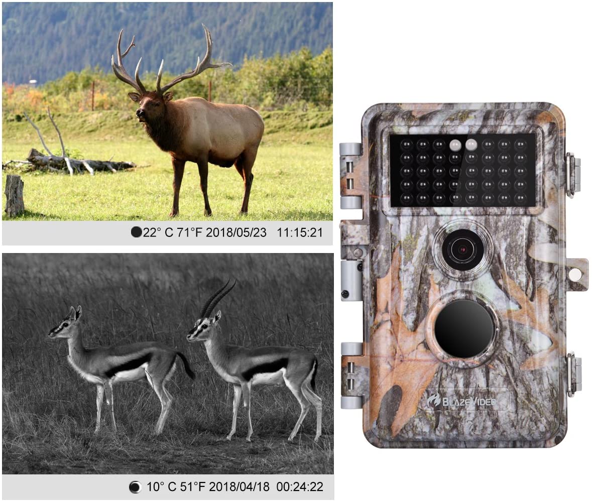 5-Pack Game & Deer Trail Cameras 16MP 1920x1080P Video Hunting Wildlife Cams Time Lapse with Night Vision - image 5