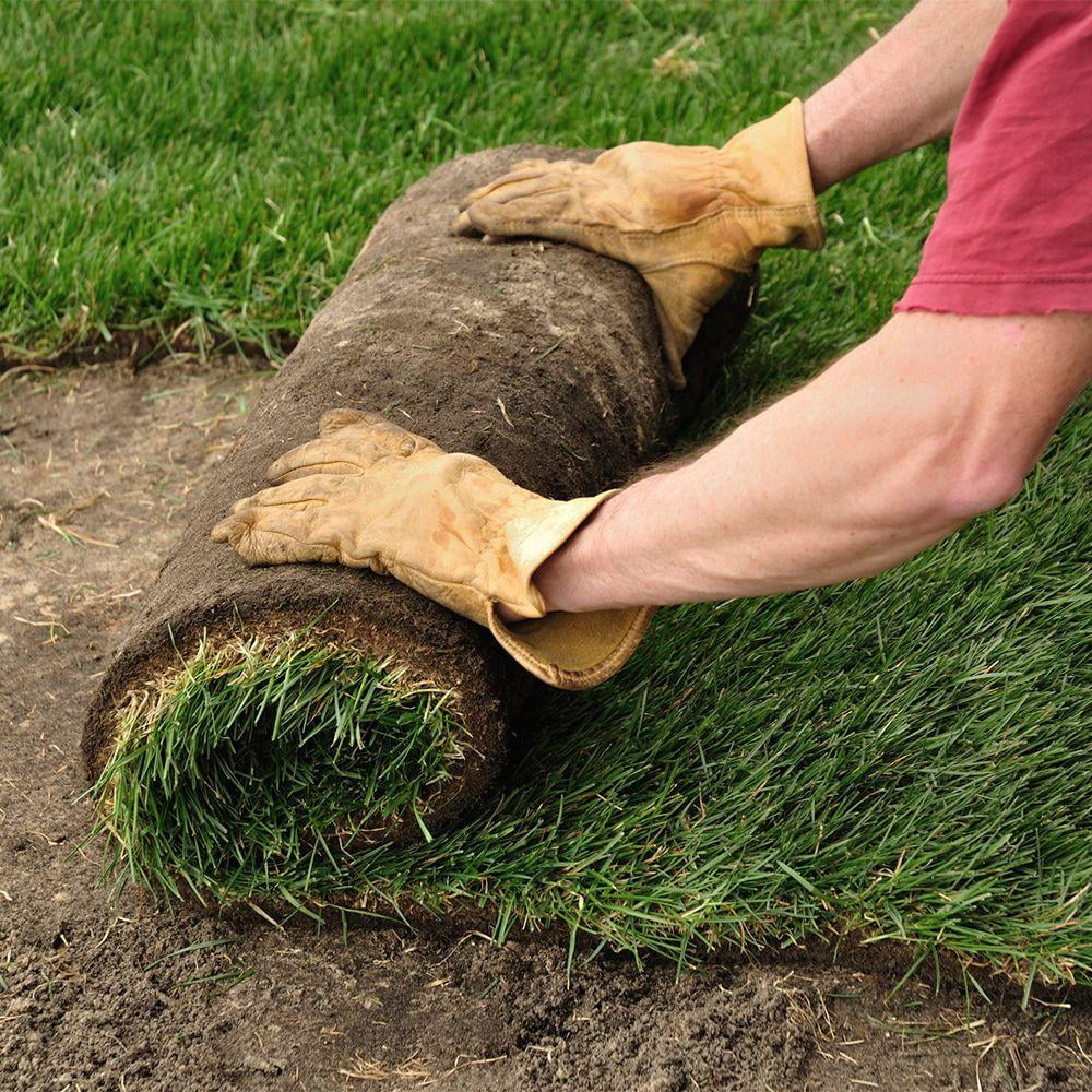 Centipede 500 Sq. Ft. Sod Pallet - image 3