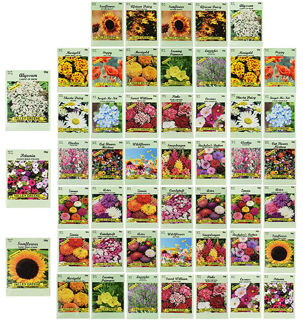 Set of 50 Assorted Flower Seed Packets! Flower Seeds in Bulk - 20+ Varieties Ava - image 1