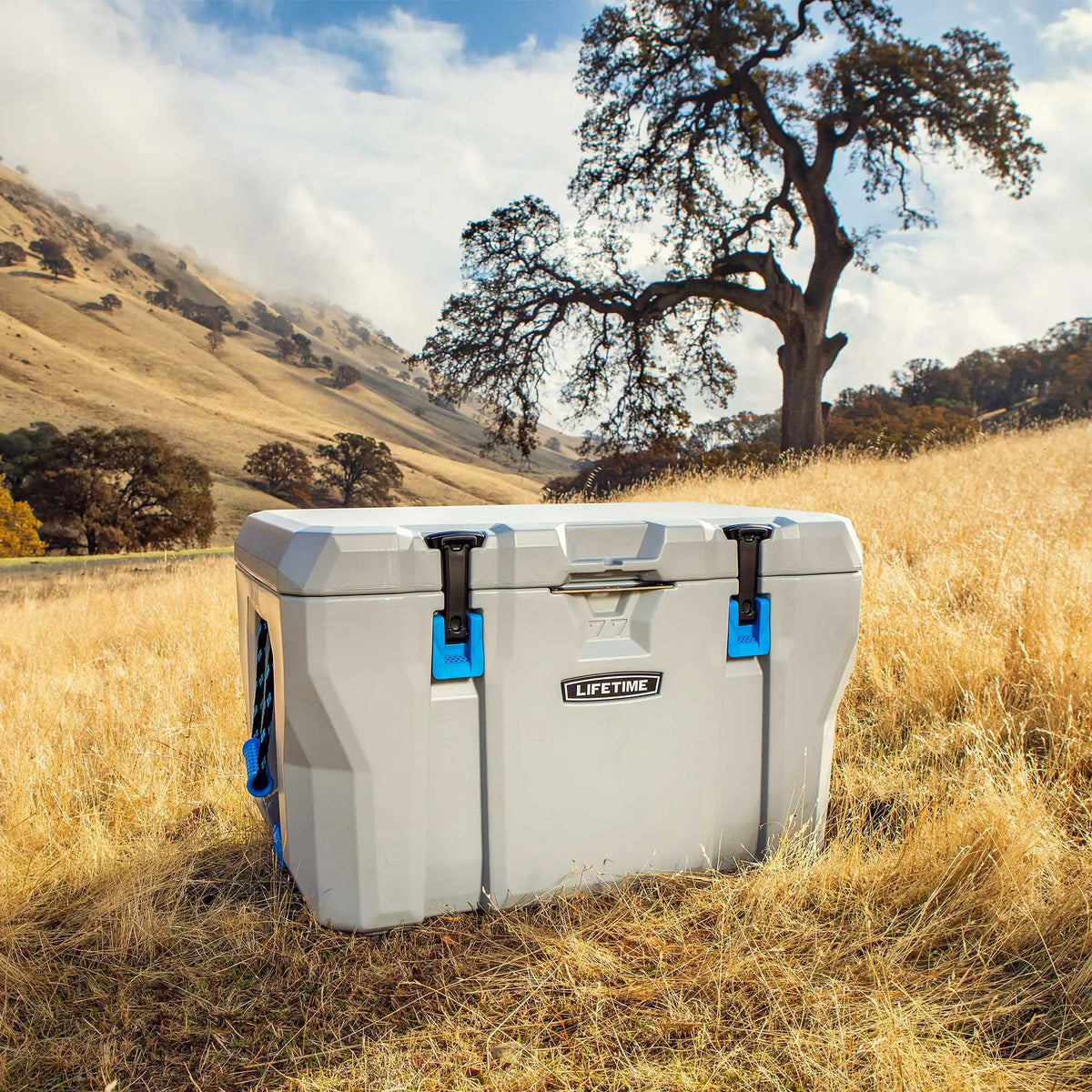 Lifetime 77 Quart High Performance Cooler (90903) - image 10