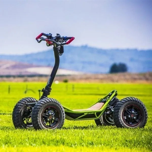 All-terrain 4X4 off-road vehicles(Limited to one) - image 1