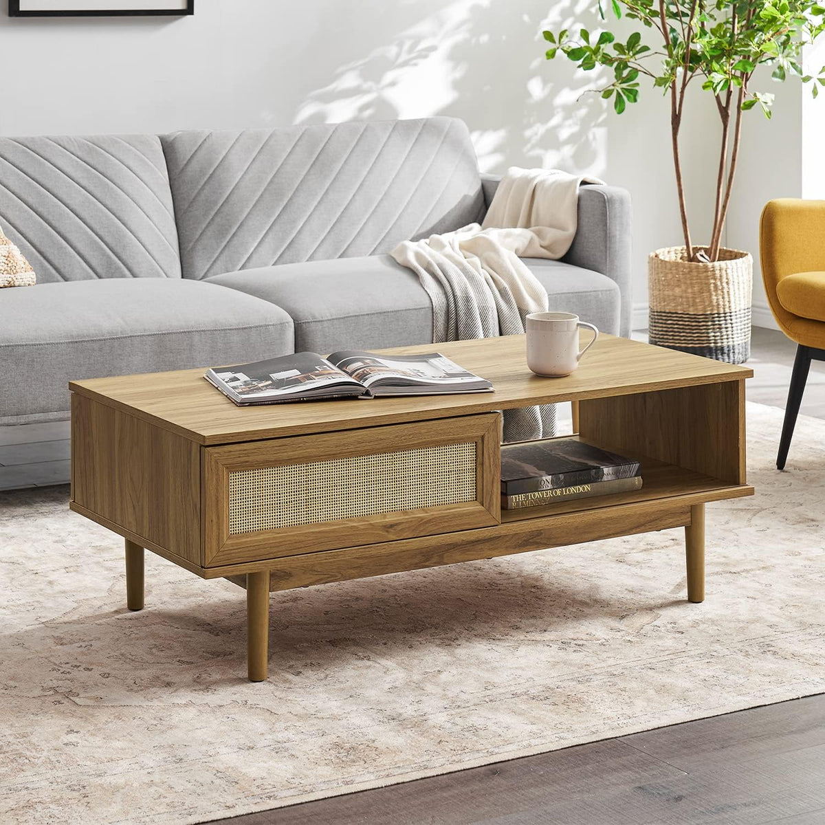 Mopio Ensley Mid Century Modern Rectangle Coffee Table with Dual Storage Shelf, Wood Slat Sliding Door, & Rounded Edge Protection for Living Room, Walnut Grain - image 3