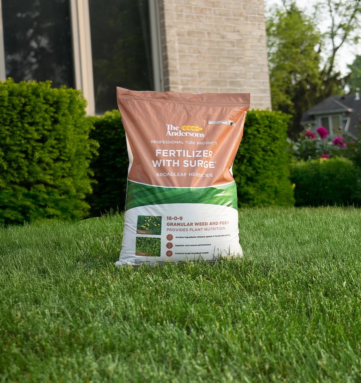 The Andersons Professional Surge Weed and Feed 16 - 0 - 9 Post - Emergent Weed Control and Fertilizer - Covers up to - image 6