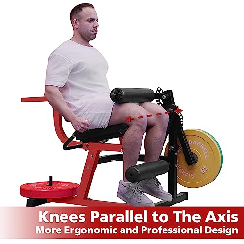 GMWD Leg Extension Machine and Curl, Lower Body Special Leg Machine, Adjustable Leg Exercise Bench - image 5