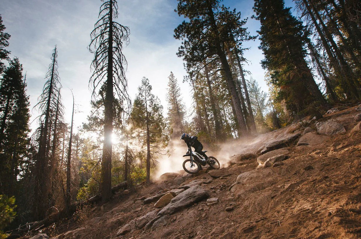 ⏰TODAY'S CLEARANCE SALE!⏰Segway Dirt eBike X260 - image 6