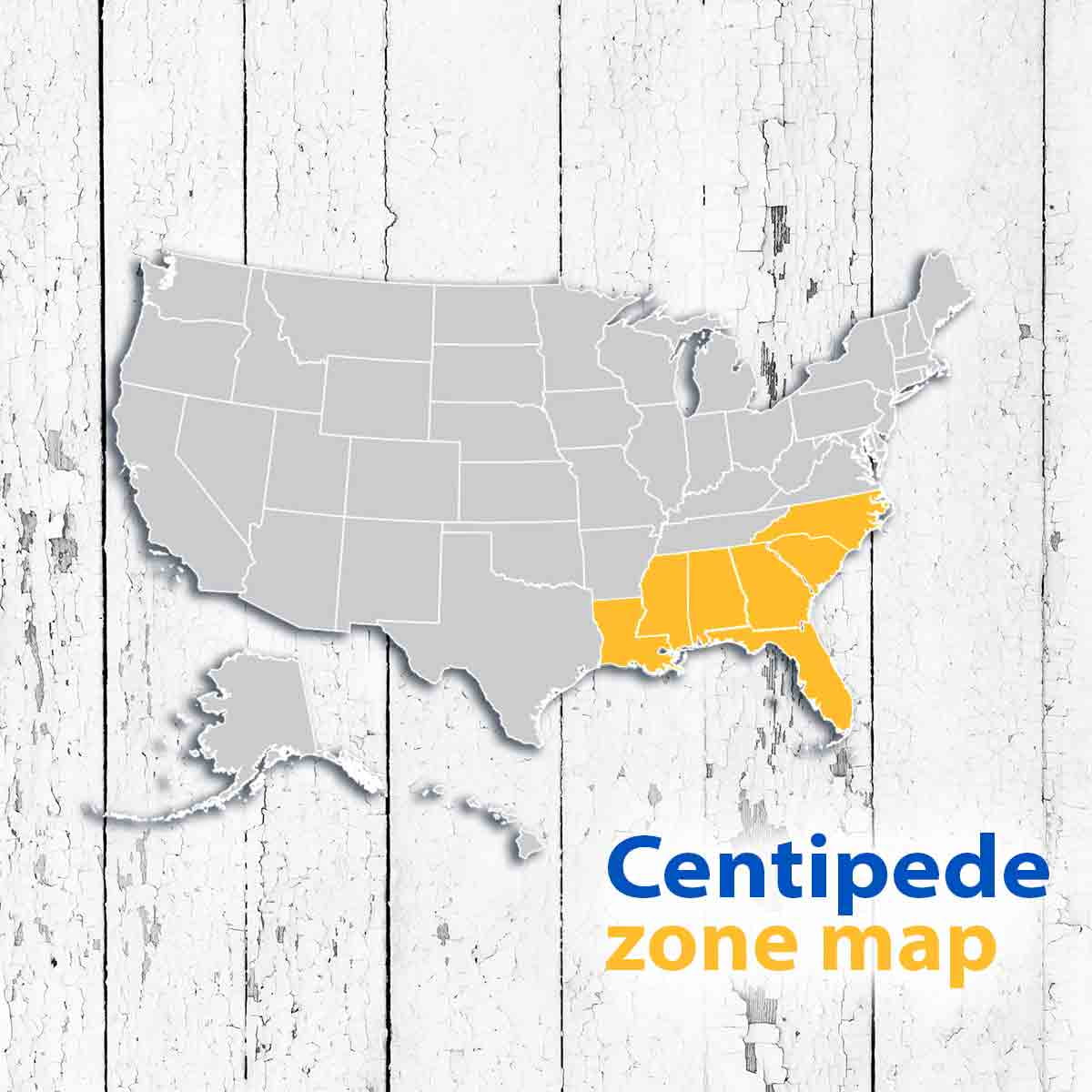 Centipede 500 Sq. Ft. Sod Pallet - image 2
