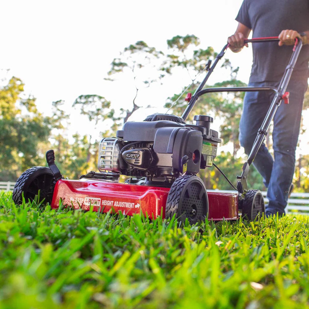 20-Inch 125Cc Gas Push Mower with Briggs & Stratton Engine - image 2