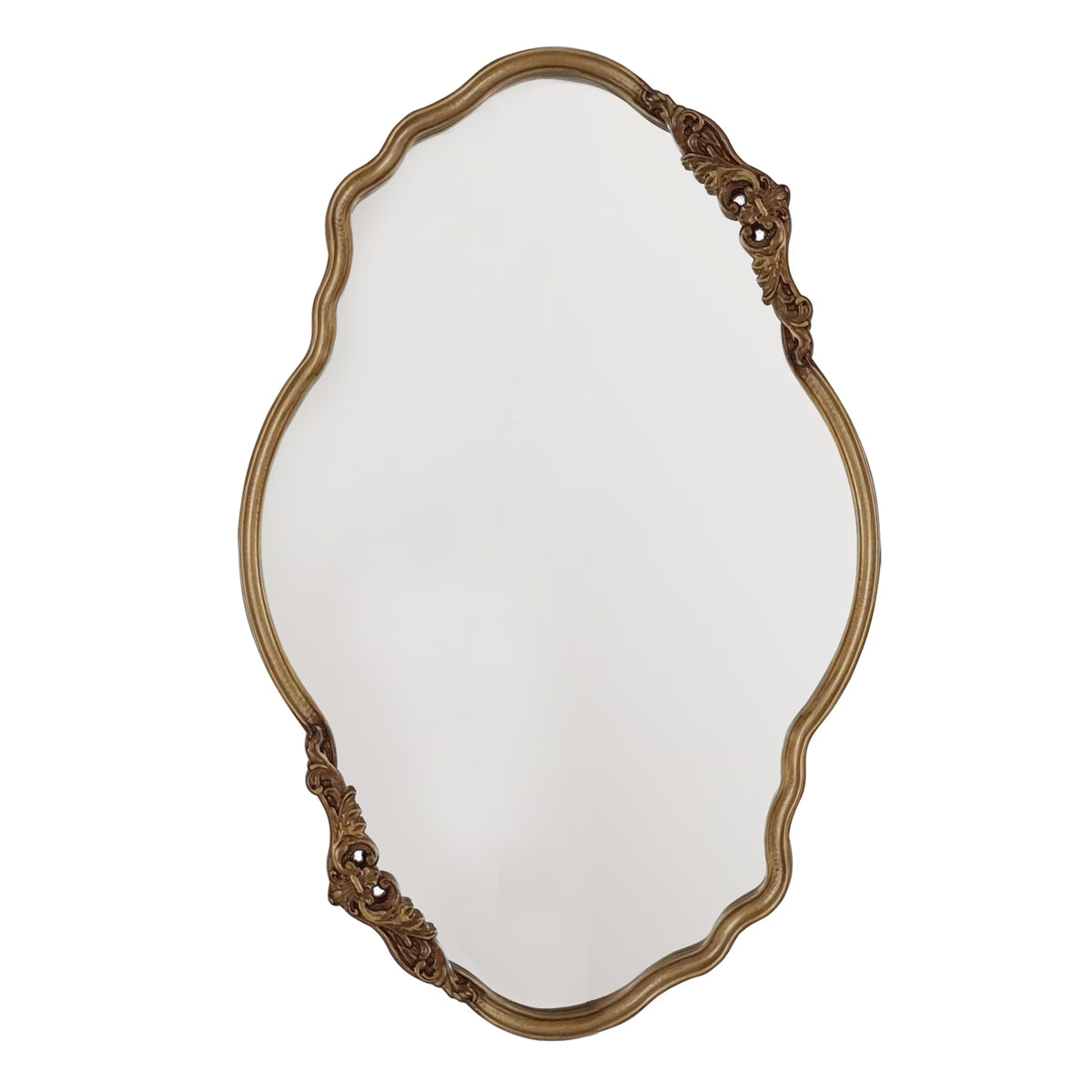 My Texas House Irregular Gold Framed Mirror 25x38 - image 1