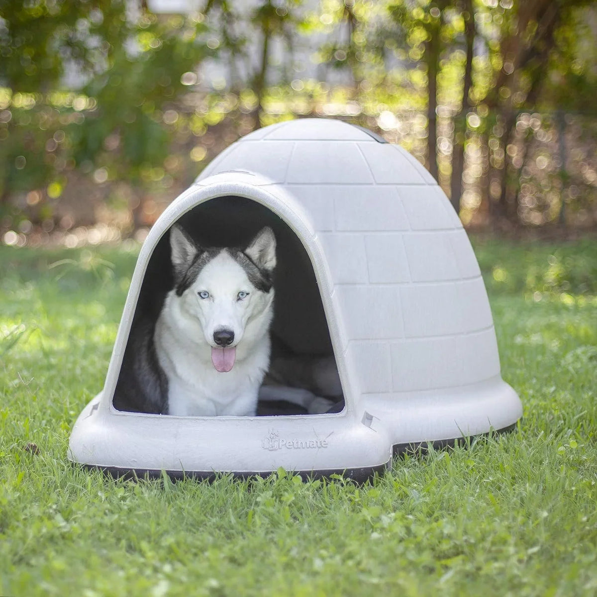 Petmate Indigo Dog House (Igloo Dog House, Made in USA with 90% Recycled Materials, All-Weather Protection Pet Shelter) for XL Dogs -90 to 125 pounds, Made in USA - image 20
