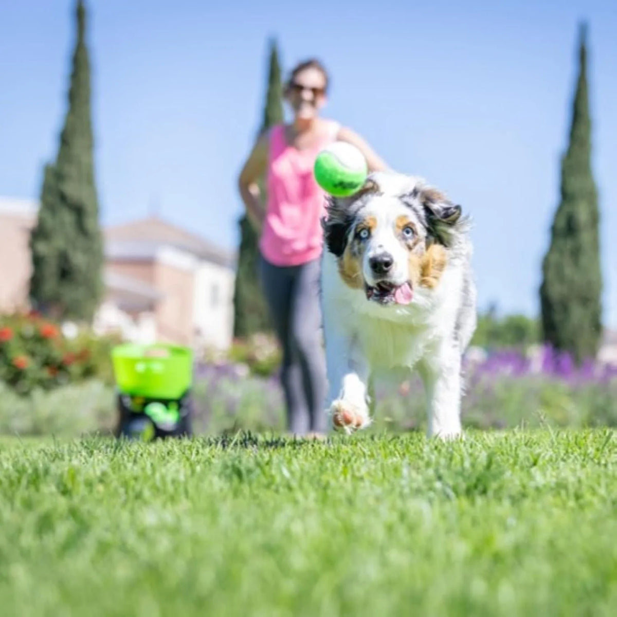 Hyper Pet GoDogGo Automatic Dog Ball Launcher with 5 Balls - image 8