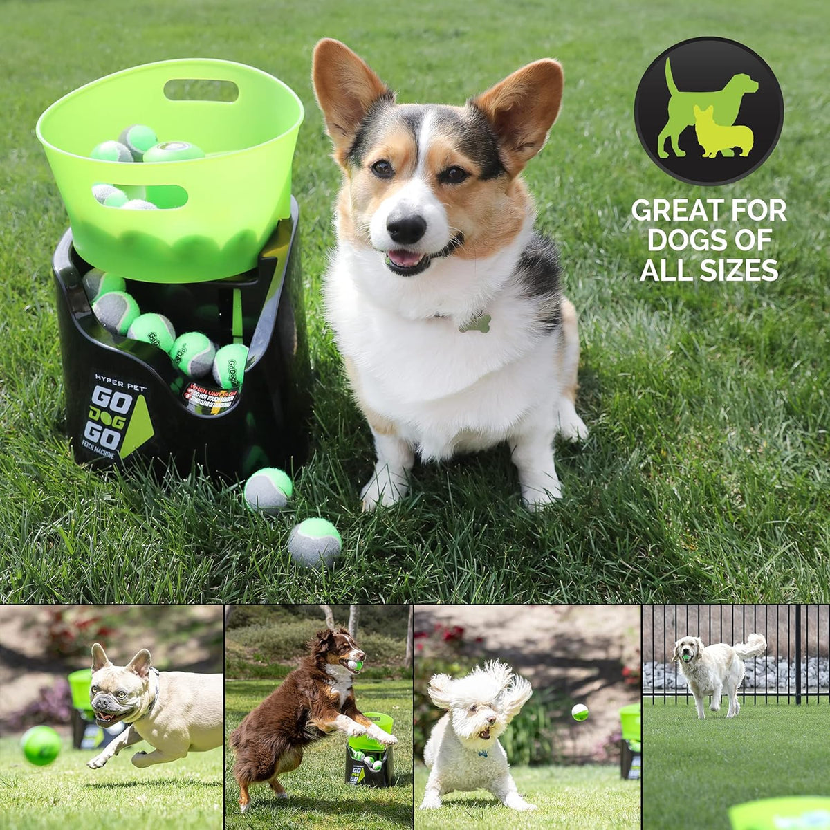 Hyper Pet GoDogGo Automatic Dog Ball Launcher with 5 Balls - image 5